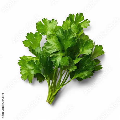 Bunch of fresh parsley, Transparent, isolated, top view