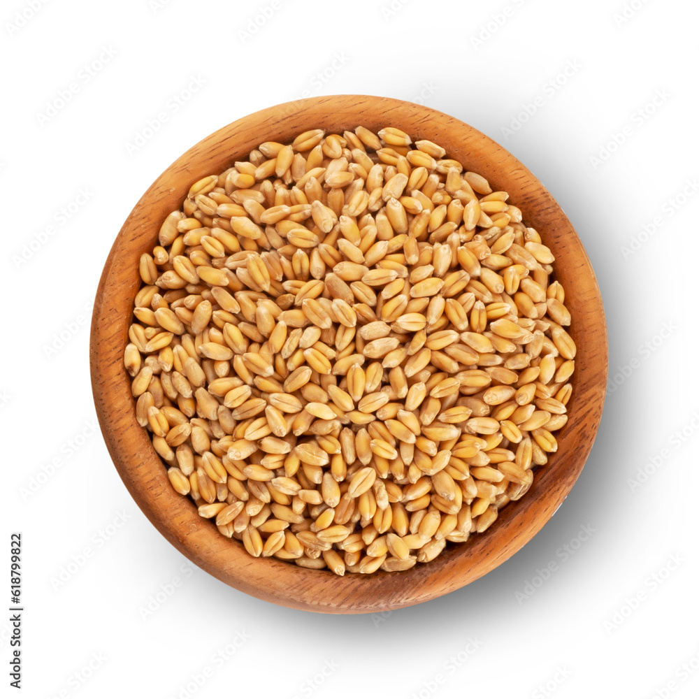 Wheat seeds, top view, isolated. Transparent