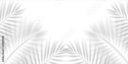 Blurred shadow of a palm leaf isolated on transparent background. Realistic vector illustration.