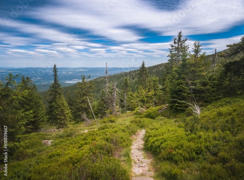 Mountain path with trees and cloudy sky
