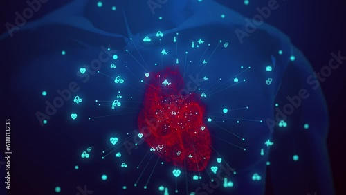 Human heart in the body