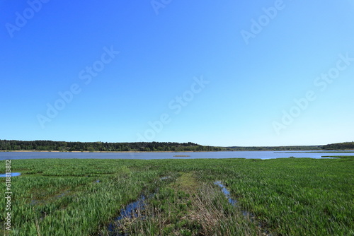Hjälstaviken nature reserve. Landscape photo, water or lake far away. Green summer day. Sweden, 2023. © Martin of Sweden