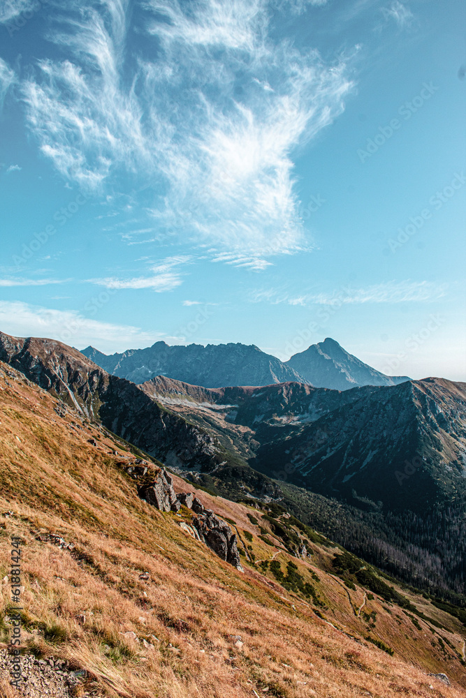 Naklejka premium landscape with sky