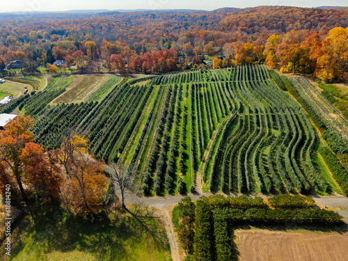 Aerial view of a farm in autumn