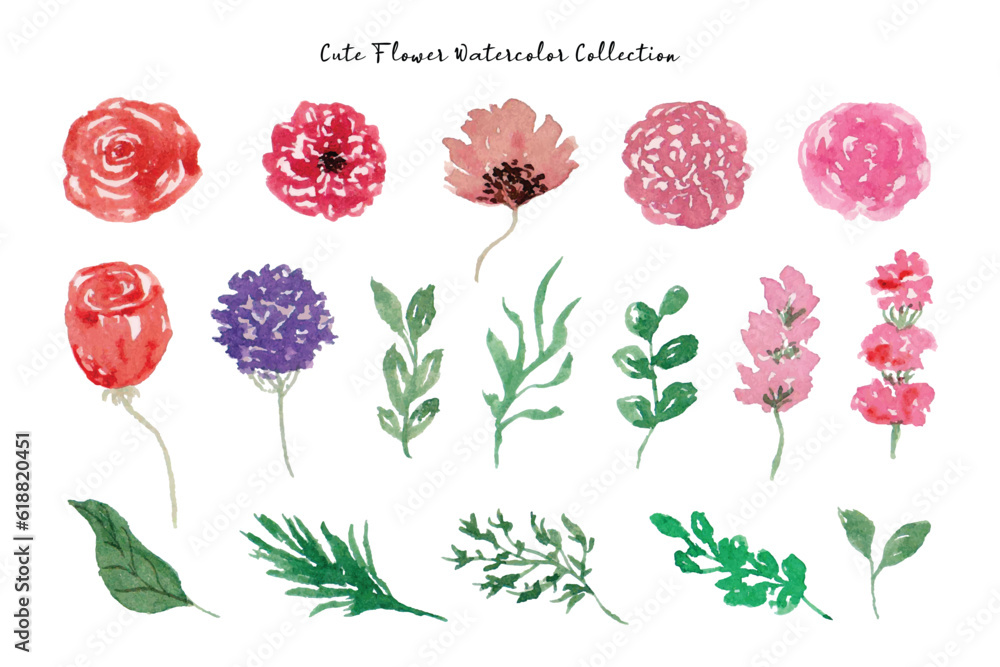 Beautiful Flower and Leaf Watercolor Collection