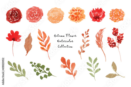 Vintage Autumn Flower and Leaf Watercolor Collection