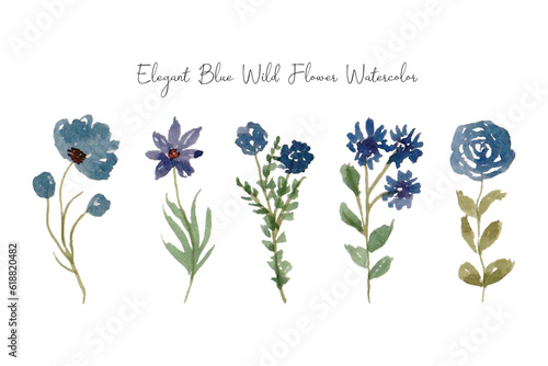 Elegant Wild Flower Watercolor Collection