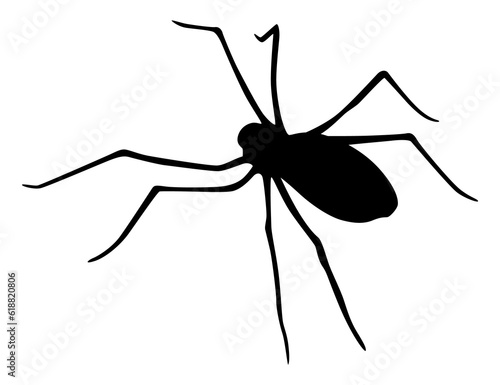 Spider silhouette. Black close-up insect, scary big spider isolated on white. Poisonous dangerous animal. Creepy wildlife bug