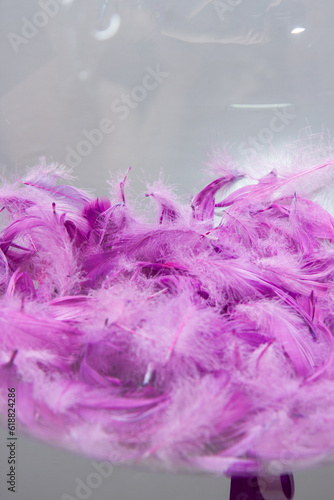 transparent balloon bubbles with purple feathers