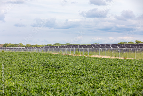 Φωτογραφία Soybean field with solar energy farm in background
