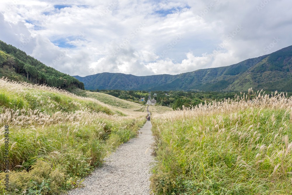 Obraz premium 秋の箱根 仙石原 すすき草原