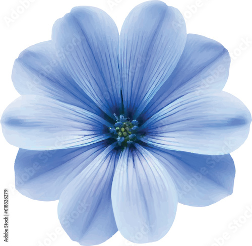 blue flower on white background