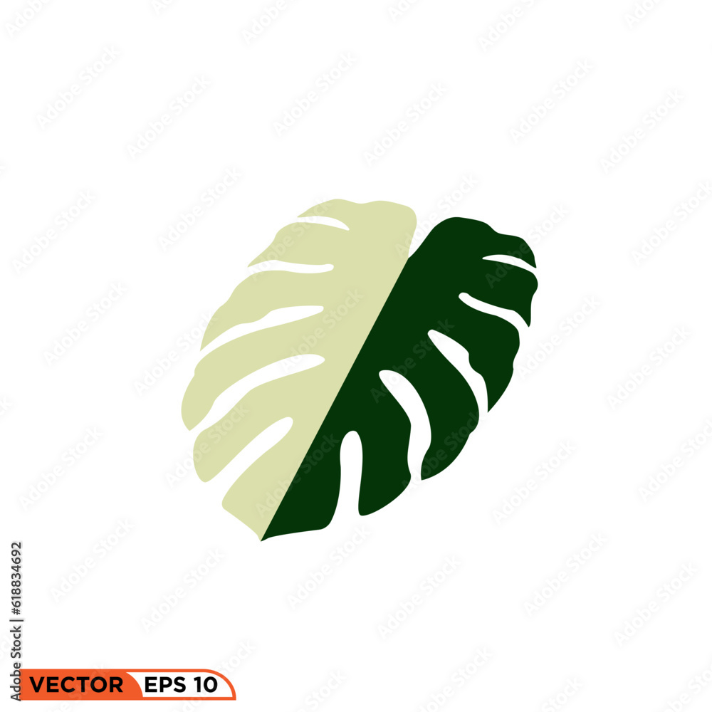 Monstera leaf icon vector graphic of template Monstera leaf icon vector graphic of template