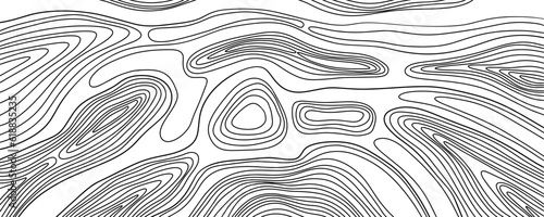 Black and white hand drawn wood annual rings texture. Wood grain texture. White vector background with wooden fibers. Contour of wood trunk rings. Wooden concentric circles pattern. Relief lines