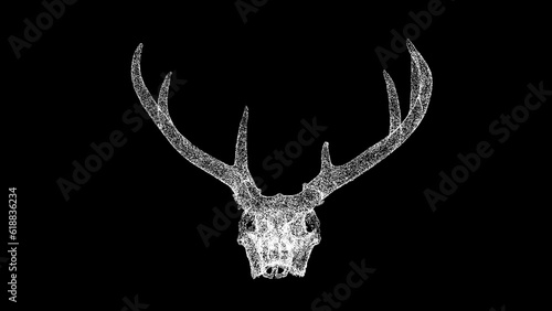 3D deer skull on black background. Object made of shimmering particles. Wild animals concept. Protection of the environment. For title, text, presentation. 3d animation. photo