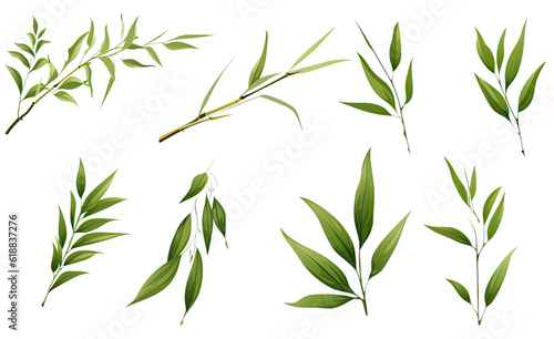 collection of bamboo leaves and shoots flowers isolated on a transparent background  generative ai