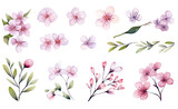 collection of soft watercolor flowers in bloom isolated on a transparent background, generative ai