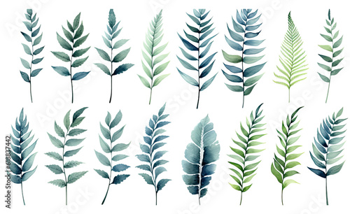 collection of soft watercolor ferns isolated on a transparent background  generative ai