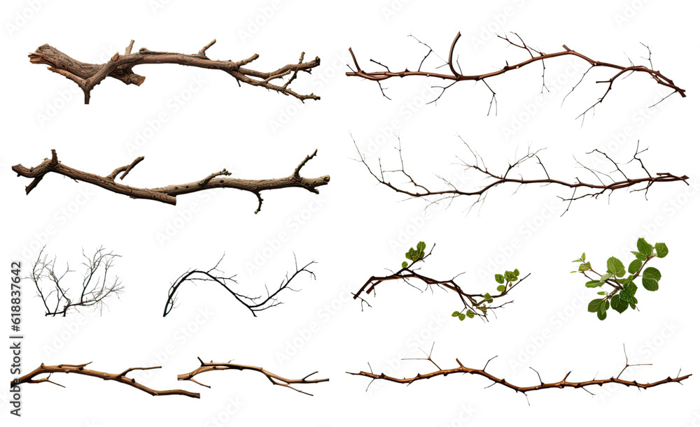 collection of thorny vines and branches isolated on a transparent background, generative ai
