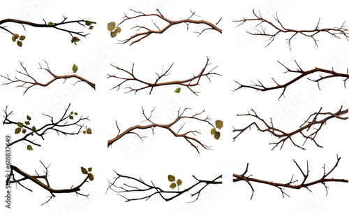 collection of thorny vines and branches isolated on a transparent background, generative ai