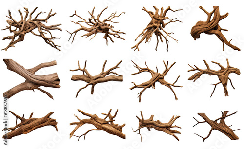 collection of twisted tree roots  isolated on a transparent background, generative ai © Perfect PNG
