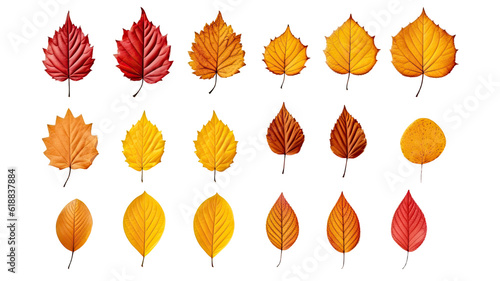 collection of autumn leaves isolated on a transparent background, generative ai