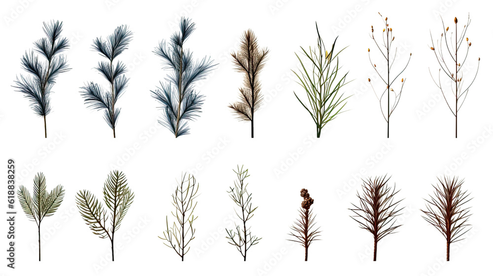 Naklejka premium collection of pine needles flowers isolated on a transparent background, generative ai