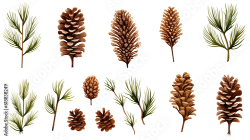 collection of pine branches and cones isolated on a transparent background, generative ai