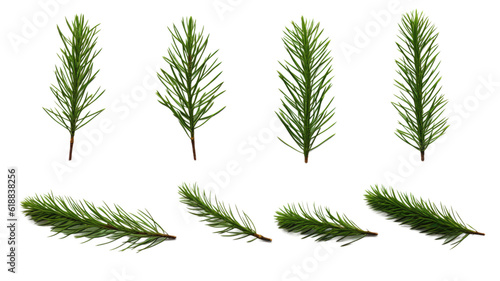 collection of pine branches flowers isolated on a transparent background  generative ai