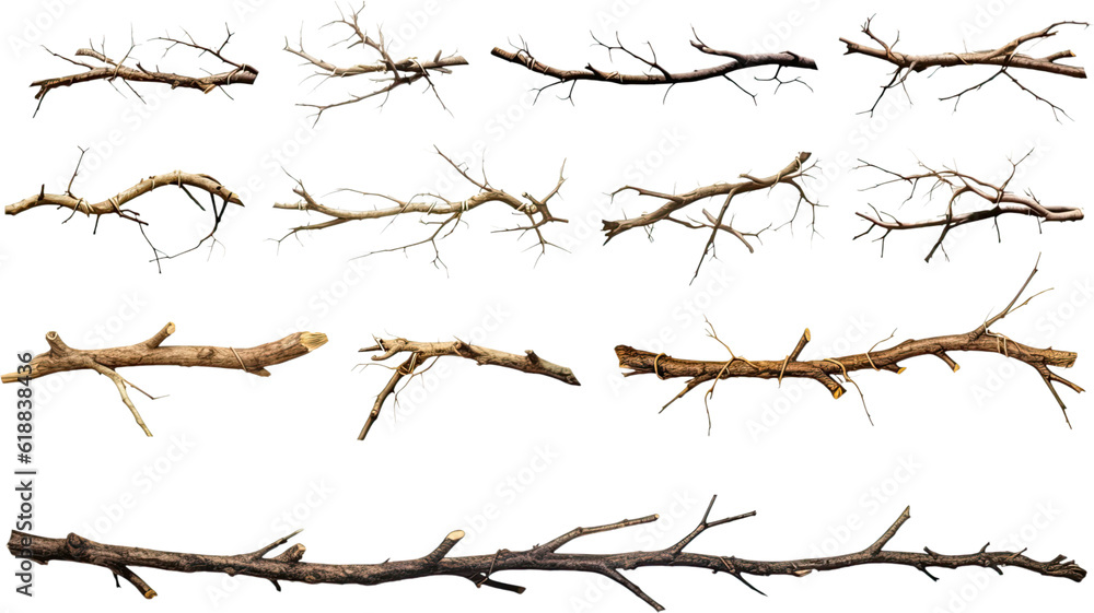 collection of thorny branches isolated on a transparent background, generative ai