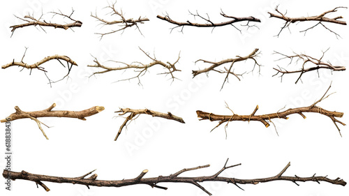 collection of thorny branches isolated on a transparent background  generative ai