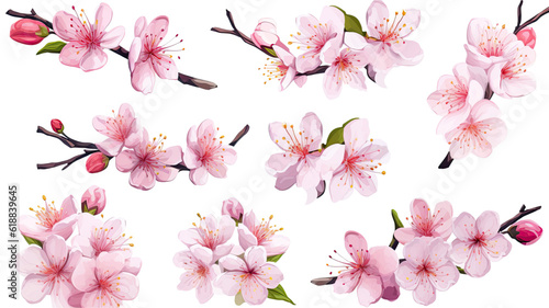 collection of hand drawn cherry blossoms flowers isolated on a transparent background  generative ai