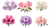 collection of soft pastel azaleas flowers isolated on a transparent background, generative ai