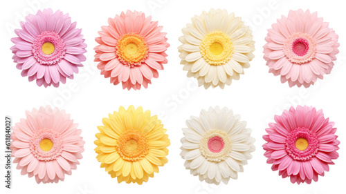 collection of soft pastel gerbera daisies flowers isolated on a transparent background, generative ai photo