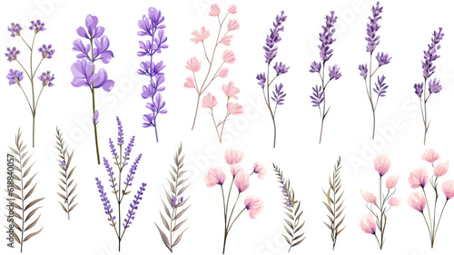 collection of soft pastel lavender flowers isolated on a transparent background, generative ai