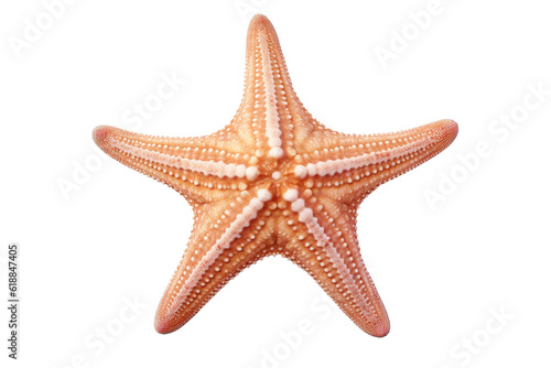 Starfish, Transparent background. generative AI