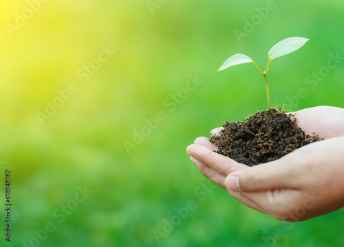 Planting the Seeds of Tomorrow: A Hand Grasping a Small Plant, Embodying the Power of Renewal and Care