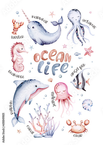 Set of sea animals. Blue watercolor ocean fish, turtle, whale and coral. Shell aquarium mermaid background. Nautical dolphin marine illustration, jellyfish, starfish