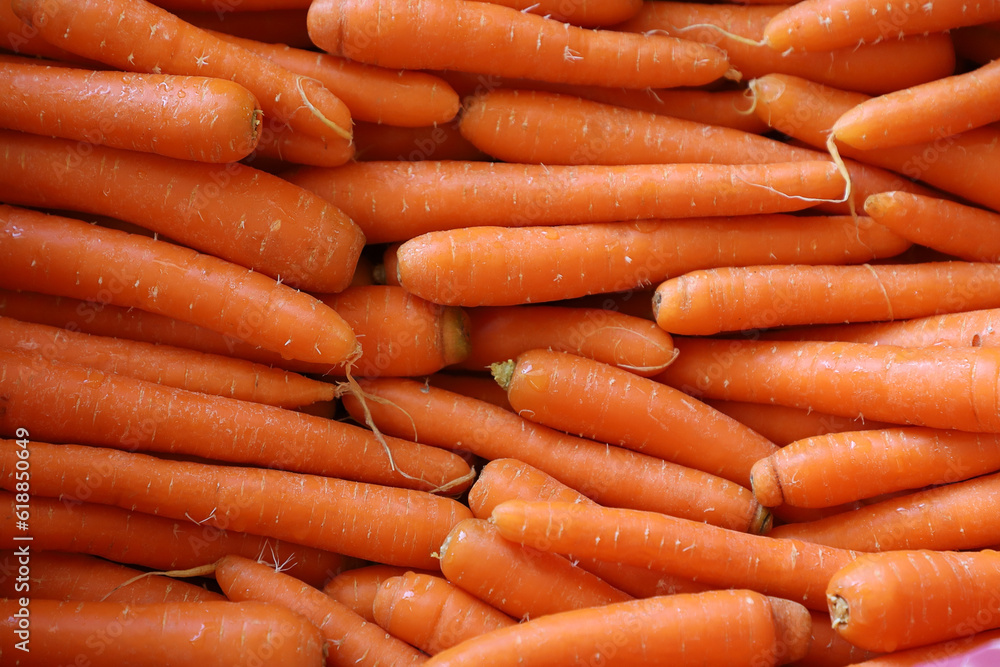 Carrots on a market, fresh carrot for sell in the market, pile of a carrot background
Carrots on a market, fresh carrot for sell in the market, pile of a carrot background