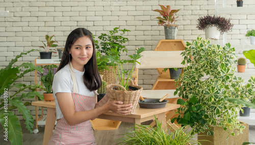 Portrait garden beautiful pretty young Asian girl woman wearing white blouse with long black hair and smile fresh with bright smile  look pot small tree leaf green plant in room shop Happy and relax © Singh