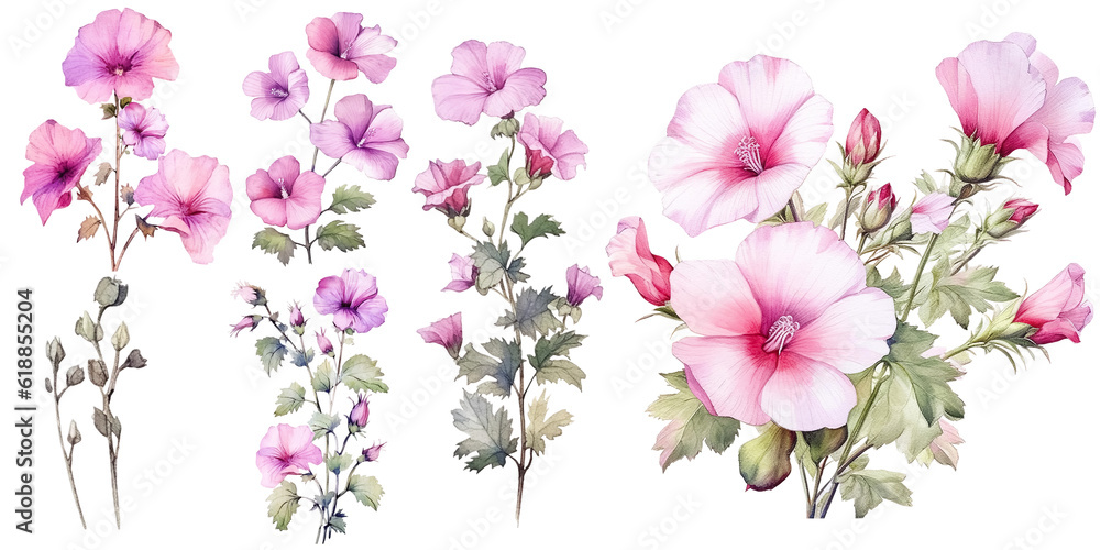 Watercolor Illustration Set of Pretty Climbing Roses, Lavatera Barnsley Flowers, Wildflowers, Leaves and Branches