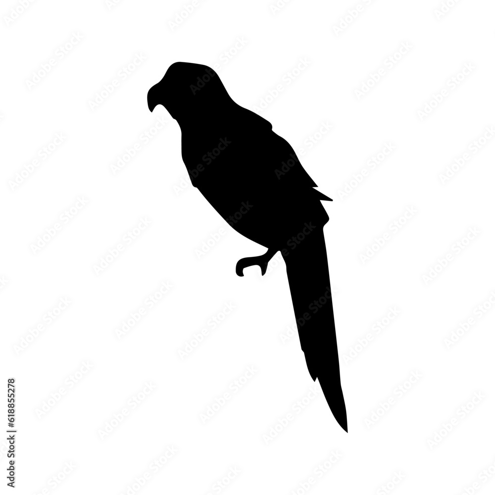 Fototapeta premium beautiful bird silhouette