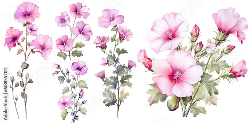 Watercolor Illustration Set of Pretty Climbing Roses, Lavatera Barnsley Flowers, Wildflowers, Leaves and Branches photo