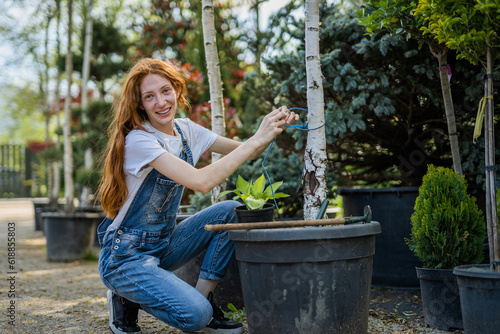 Ginger female gardener tying flower to a tree stem