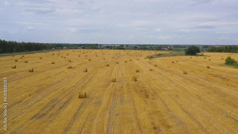 Top view of golden agricultural field with bales of hay. Bales of wheat after harvesting on the field. Agricultural field made of yellow round round big bales after harvest, straw rolls, straw bales Top view of golden agricultural field with bales of hay. Bales of wheat after harvesting on the field. Agricultural field made of yellow round round big bales after harvest, straw rolls, straw bales