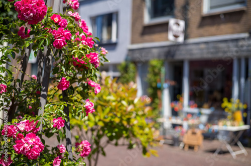 Fototapeta Naklejka Na Ścianę i Meble -  Deventer im Sommer / Niederlande / Holland