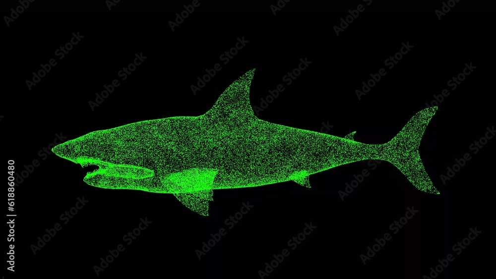 3D Shark on black background. Object made of shimmering particles. Wild animals concept. Protection of the environment. For title, text, presentation. 3d animation. 3D Shark on black background. Object made of shimmering particles. Wild animals concept. Protection of the environment. For title, text, presentation. 3d animation.
