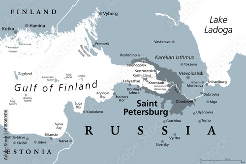 Saint Petersburg area, gray political map. Second-largest city in Russia, formerly known as Petrograd and later Leningrad. Situated on the Neva River, at the head of Gulf of Finland in the Baltic Sea. photo