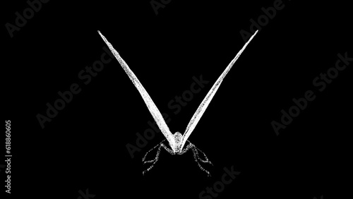 Photography 3D butterfly on black background