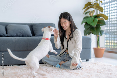 Cheerful woman in casual clothes spending her free time on vacation playing with cute pet at home.